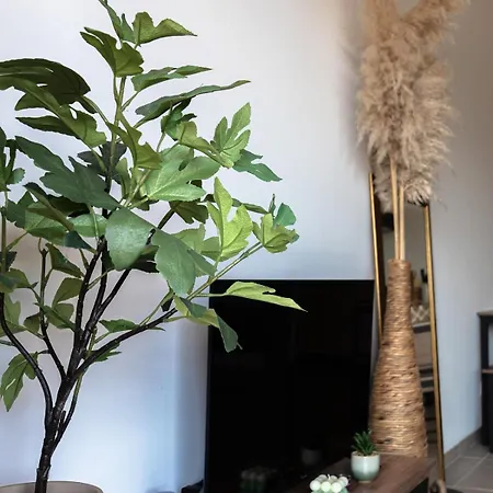 T2 Casa Le Drean - Climatisation - Terrasse Appartement *