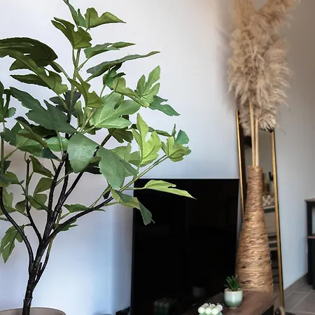 T2 Casa Le Drean - Climatisation - Terrasse Appartement Zonza